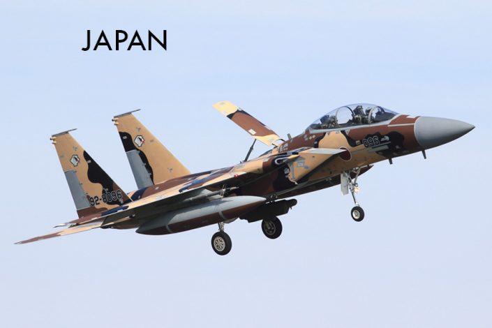 Japan Air Self-Defense Force F-15DJ